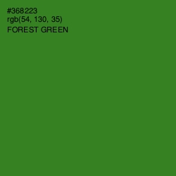 #368223 - Forest Green Color Image