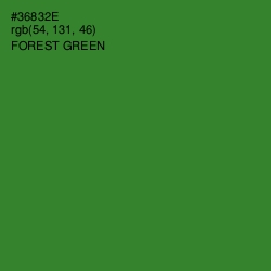 #36832E - Forest Green Color Image