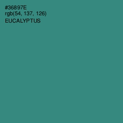 #36897E - Eucalyptus Color Image