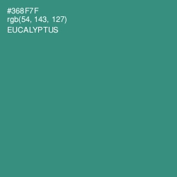 #368F7F - Eucalyptus Color Image