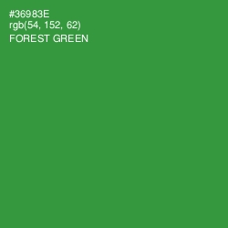 #36983E - Forest Green Color Image
