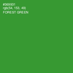 #369931 - Forest Green Color Image