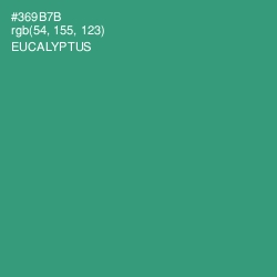 #369B7B - Eucalyptus Color Image