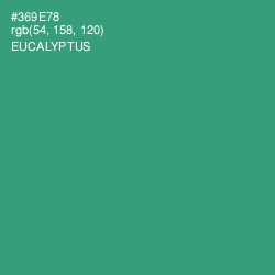 #369E78 - Eucalyptus Color Image