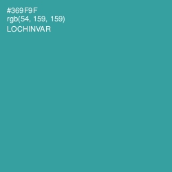 #369F9F - Lochinvar Color Image
