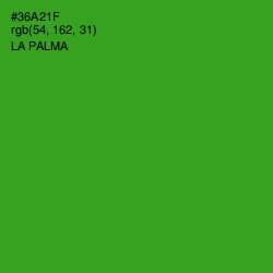 #36A21F - La Palma Color Image