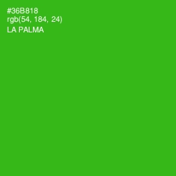 #36B818 - La Palma Color Image