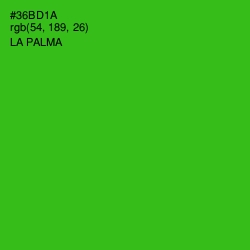 #36BD1A - La Palma Color Image