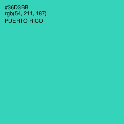 #36D3BB - Puerto Rico Color Image