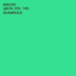 #36E091 - Shamrock Color Image