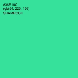 #36E19C - Shamrock Color Image