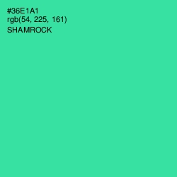 #36E1A1 - Shamrock Color Image