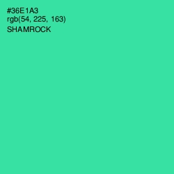 #36E1A3 - Shamrock Color Image