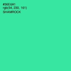 #36E6A1 - Shamrock Color Image