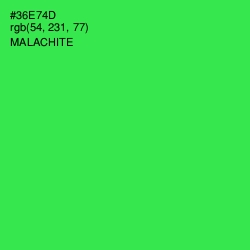 #36E74D - Malachite Color Image