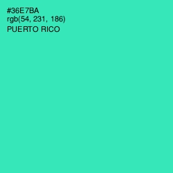 #36E7BA - Puerto Rico Color Image