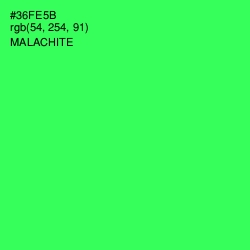 #36FE5B - Malachite Color Image