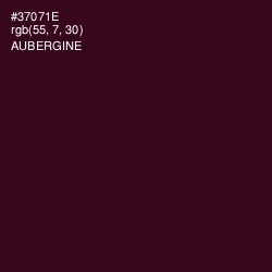 #37071E - Aubergine Color Image