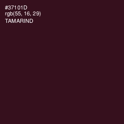 #37101D - Tamarind Color Image