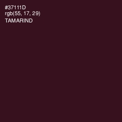 #37111D - Tamarind Color Image