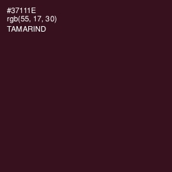 #37111E - Tamarind Color Image