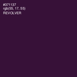 #371137 - Revolver Color Image