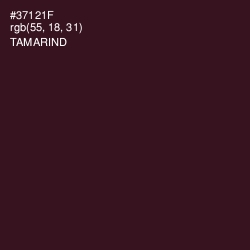 #37121F - Tamarind Color Image