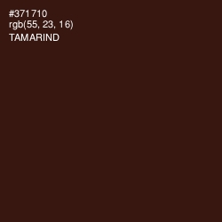 #371710 - Tamarind Color Image