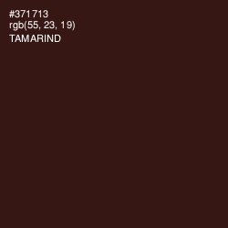 #371713 - Tamarind Color Image