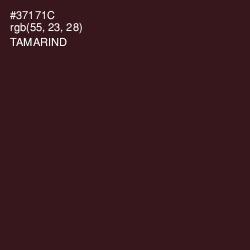 #37171C - Tamarind Color Image