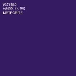 #371B60 - Meteorite Color Image