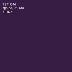 #371C44 - Grape Color Image