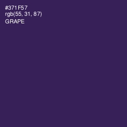 #371F57 - Grape Color Image