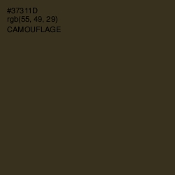 #37311D - Camouflage Color Image