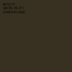 #37311F - Camouflage Color Image