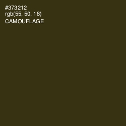 #373212 - Camouflage Color Image