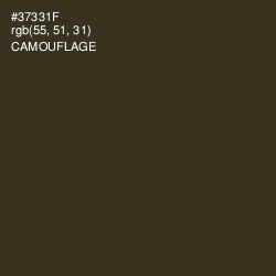 #37331F - Camouflage Color Image