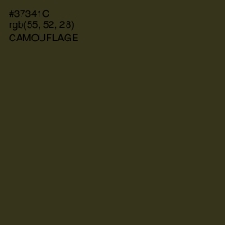 #37341C - Camouflage Color Image