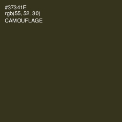 #37341E - Camouflage Color Image