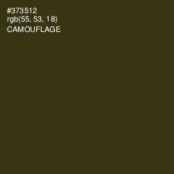 #373512 - Camouflage Color Image
