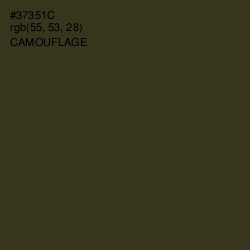 #37351C - Camouflage Color Image