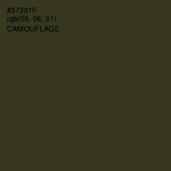 #37381F - Camouflage Color Image