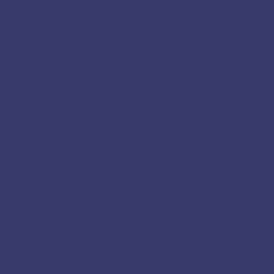 #373A6A - Rhino Color Image