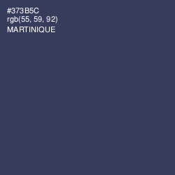 #373B5C - Martinique Color Image