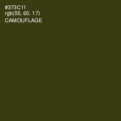 #373C11 - Camouflage Color Image
