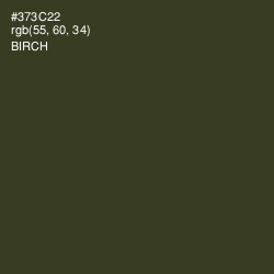 #373C22 - Birch Color Image