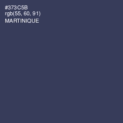 #373C5B - Martinique Color Image