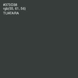 #373D38 - Tuatara Color Image