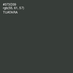 #373D39 - Tuatara Color Image