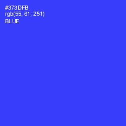 #373DFB - Blue Color Image